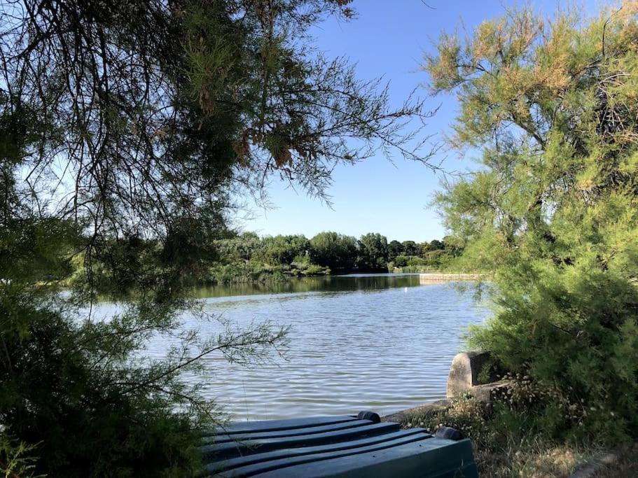 Le Petit Cote Ouest - Appt Dans Les Pins Pres De La Plage 莱萨布勒-多洛讷 外观 照片