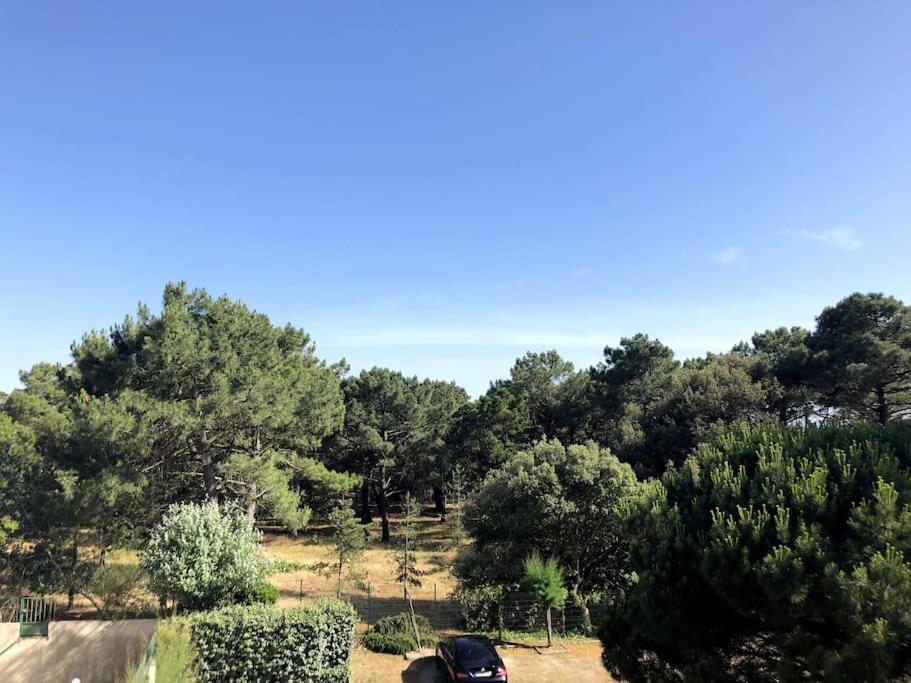 Le Petit Cote Ouest - Appt Dans Les Pins Pres De La Plage 莱萨布勒-多洛讷 外观 照片