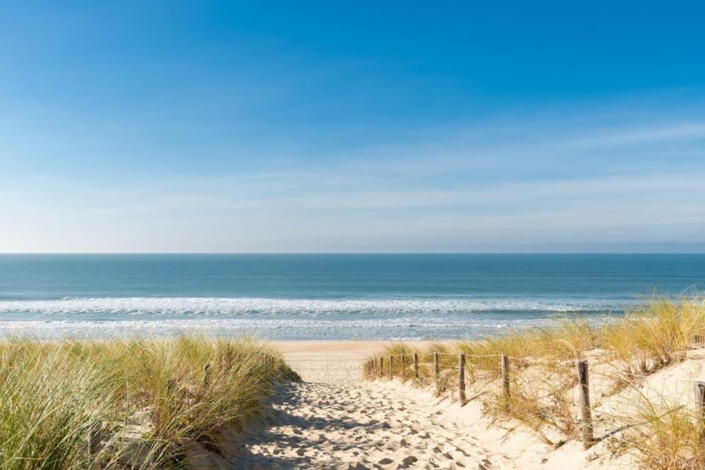 Le Petit Cote Ouest - Appt Dans Les Pins Pres De La Plage 莱萨布勒-多洛讷 外观 照片