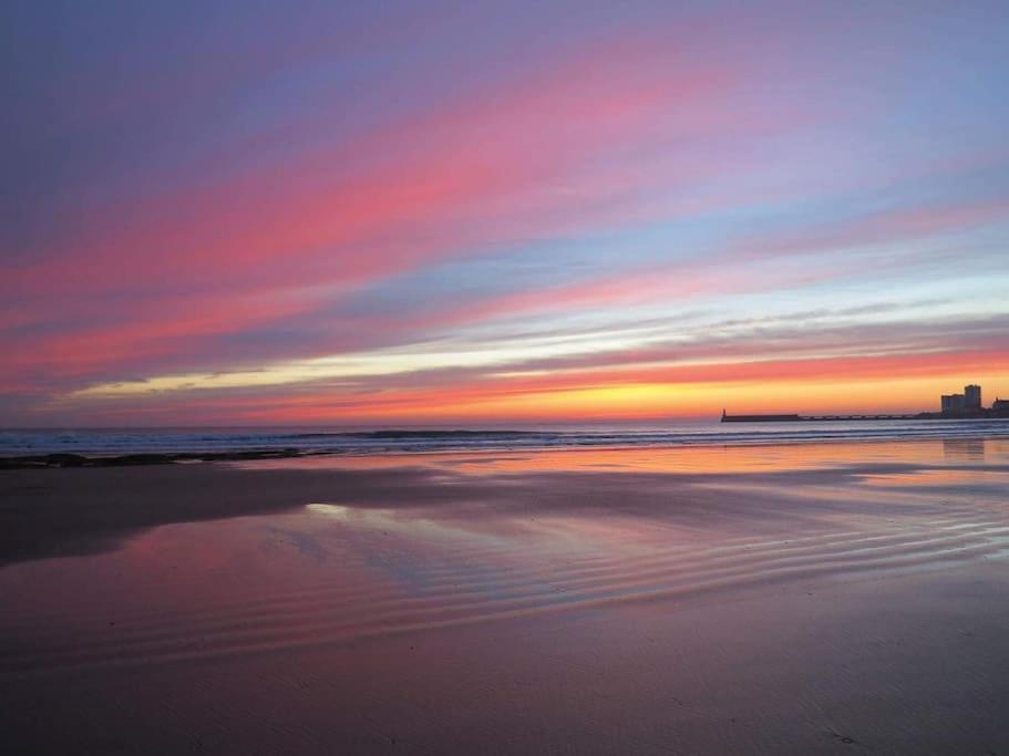 Le Petit Cote Ouest - Appt Dans Les Pins Pres De La Plage 莱萨布勒-多洛讷 外观 照片